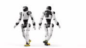 Raja Robot Humanoid China