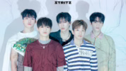 Profil Member STRITZ Black Spoon