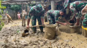 rehabilitasi lahan sawah pascabencana