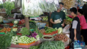 Sayuran tinggi purin pemicu asam urat