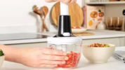 Rekomendasi food chopper watt rendah