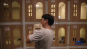 Hotel khusus kucing di Jakarta