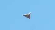 Keampuhan drone murah Iran
