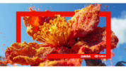 Platform AI Firefly Adobe NVIDIA