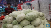 golongan orang yang harus hindari sayur kol