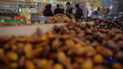 Cara membedakan kurma asli