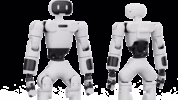 Pengembangan robot humanoid China