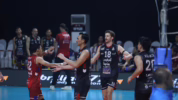 Final Four Proliga 2026