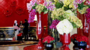 Trans Hotel Jakarta Bintang 5