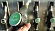 Program biodiesel B50 kurangi impor solar