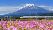 Biaya liburan ke Jepang 2026