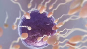 Meningkatkan kualitas sperma pria