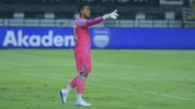 Teja Paku Alam Persib Bandung