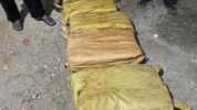 penyelundupan sabu 30 kilogram