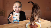 makanan premium untuk kucing picky eater