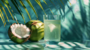 air kelapa murni asam lambung