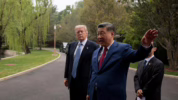 Diplomasi Pohon Xi Jinping dan Donald Trump