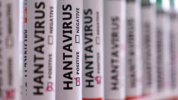 ancaman virus Hantavirus di Thailand