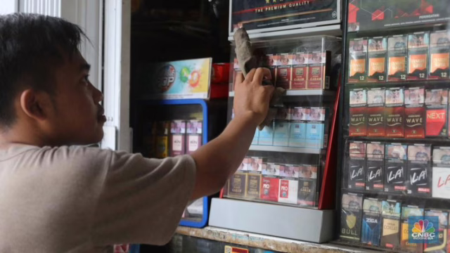 kemasan rokok seragam