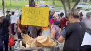 bagi-bagi durian gratis
