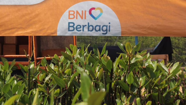 BNI Tanam Bibit Mangrove